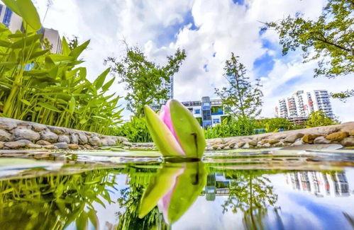 到车请故意教程微头条,从零开始，掌握到车请故意教程微头条核心技巧