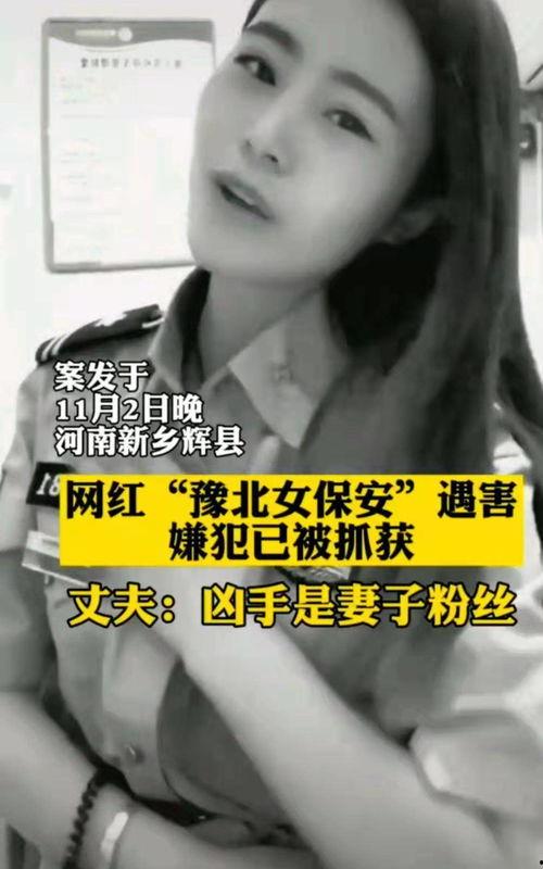 河南酒馆女网红叫什么,酒香四溢的直播传奇