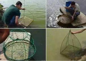 养虾看料台怎么看,揭秘高效养殖之道