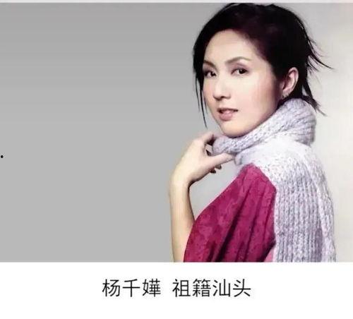 潮汕明星有哪些,闪耀荧屏的璀璨星辰