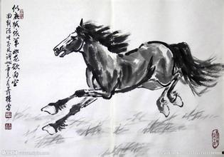 甘肃回族马姓网红,传承与创新的文化使者