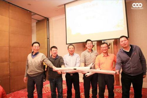 明星 小石头,闪耀星途，砥砺前行