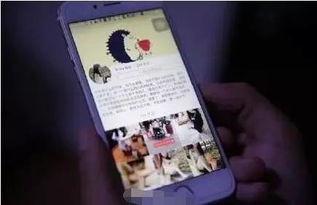 快手网红杨莉,从田间地头到网络红人的蜕变之路