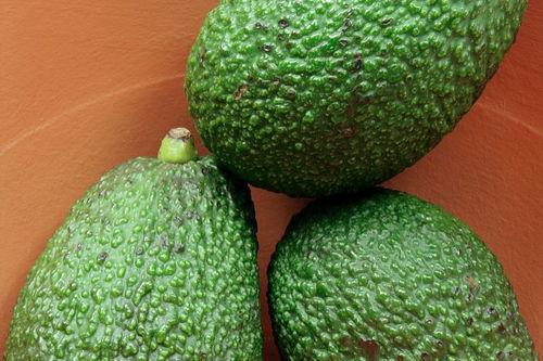 哈密瓜吃好可以吃桃子吗,桃子成为下一站甜蜜之旅