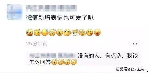 吃瓜的社会语录,揭秘网络热议背后的真相与笑料