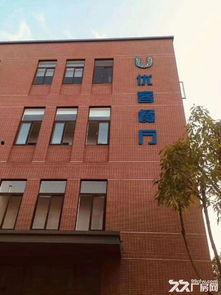 郫都区明星保安,守护平安的守护者