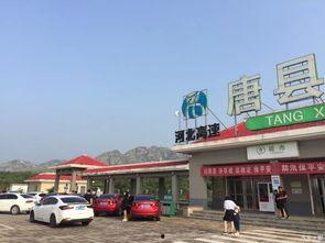 保定唐河今日头条,今日头条聚焦最新动态，带你领略魅力河畔