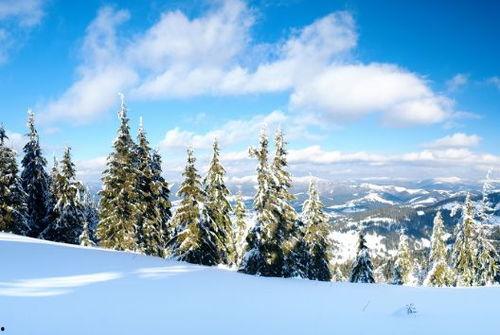 网红暖阳寒风,网红暖阳寒风的魅力人生