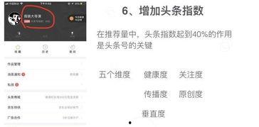 头条号的指数怎么没了,揭秘指数消失背后的真相