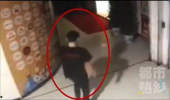 偷拍吃瓜犯法吗视频,法律边界与道德考量