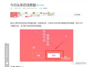 今日头条 客服,全方位解答，助力用户无忧使用”