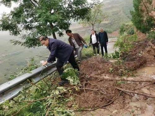 运城夏县南大里郭牛头条