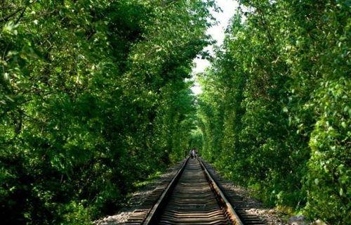 南京哪里有网红景区拍照,南京网红景区打卡胜地