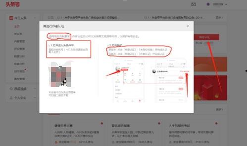 如何申请头条号认证通过,轻松通过认证，开启自媒体新篇章