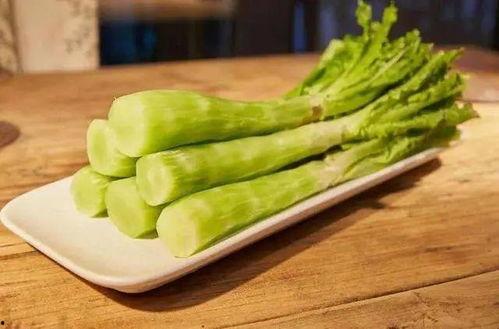 狗可以吃莴苣瓜,莴苣瓜，狗狗的新宠