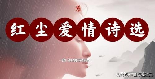 今日头条推荐的小诗歌,诗意盎然，感受生活之美