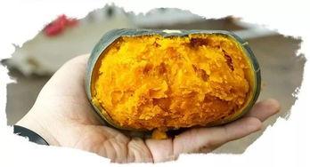 板栗瓜怎么简单蒸熟吃,美味家常新吃法