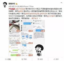 网红项目都有哪些名称,盘点热门名称背后的创新与趋势