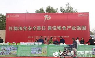 今日头条粮食领域新闻,今日头条聚焦行业热点