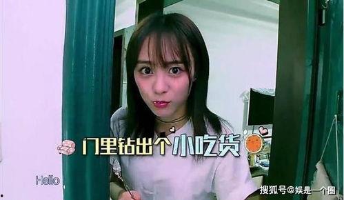 家里很小的明星,揭秘家中“迷你明星”的成长故事