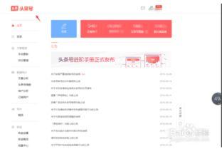 怎么找回我以前的头条